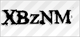 CAPTCHA security code