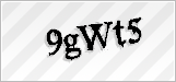 CAPTCHA security code