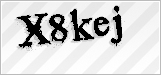 CAPTCHA security code