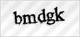 CAPTCHA security code