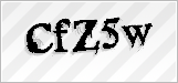 CAPTCHA security code