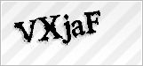 CAPTCHA security code