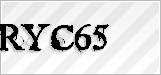 CAPTCHA security code