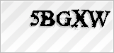 CAPTCHA security code