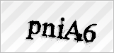 CAPTCHA security code