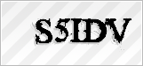 CAPTCHA security code