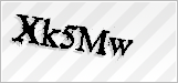 CAPTCHA security code