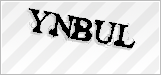CAPTCHA security code