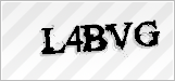 CAPTCHA security code