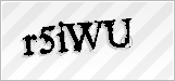 CAPTCHA security code
