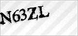 CAPTCHA security code