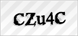 CAPTCHA security code