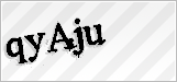 CAPTCHA security code