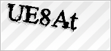 CAPTCHA security code