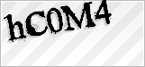 CAPTCHA security code