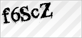 CAPTCHA security code