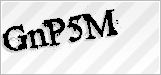 CAPTCHA security code