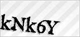 CAPTCHA security code