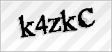 CAPTCHA security code