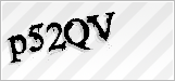 CAPTCHA security code