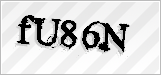 CAPTCHA security code