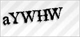 CAPTCHA security code
