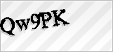 CAPTCHA security code