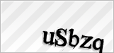 CAPTCHA security code