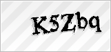 CAPTCHA security code