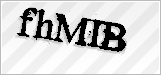 CAPTCHA security code