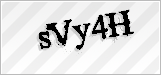 CAPTCHA security code