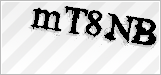 CAPTCHA security code