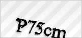 CAPTCHA security code