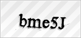 CAPTCHA security code