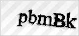 CAPTCHA security code