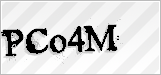 CAPTCHA security code