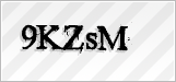 CAPTCHA security code