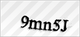 CAPTCHA security code