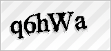 CAPTCHA security code