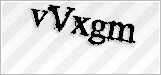 CAPTCHA security code