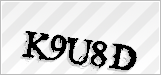 CAPTCHA security code