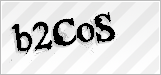 CAPTCHA security code