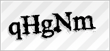 CAPTCHA security code