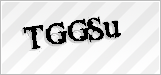 CAPTCHA security code