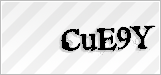 CAPTCHA security code