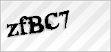 CAPTCHA security code