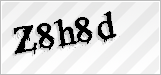 CAPTCHA security code