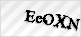 CAPTCHA security code
