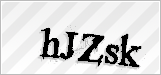 CAPTCHA security code