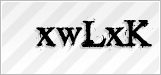CAPTCHA security code